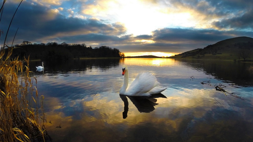 Lough Gur